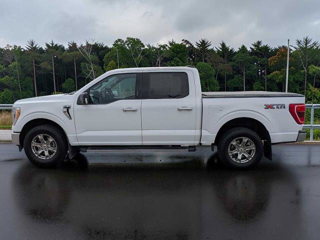 Certified 2021 Ford F150 XLT w/ Equipment Group 302A High AWD/4WD image 3
