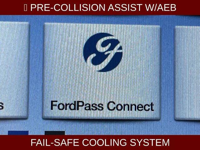 Certified 2019 Ford F150 XLT AWD/4WD image 5