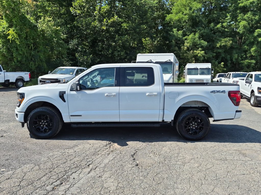 Certified 2024 Ford F150 XLT w/ Equipment Group 302A MID AWD/4WD image 6