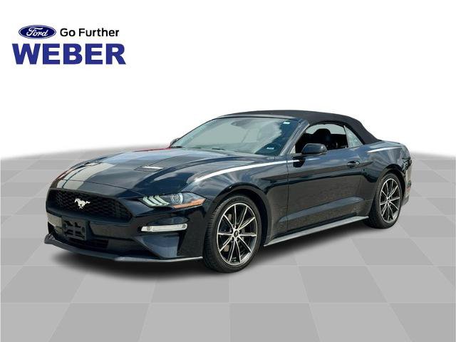 Certified 2019 Ford Mustang Premium w/ Equipment Group 201A RWD video 1