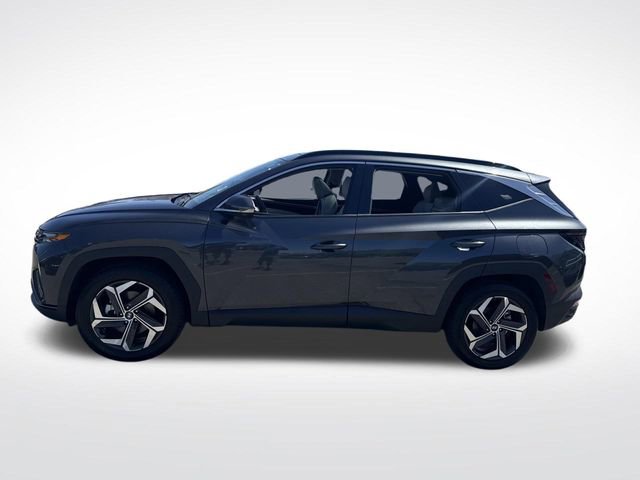 Used 2024 Hyundai Tucson Limited AWD/4WD image 2