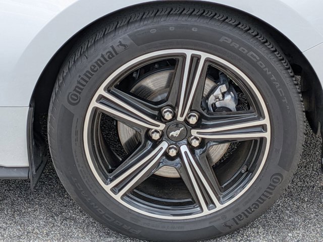 Certified 2024 Ford Mustang Coupe RWD image 22