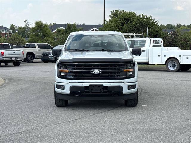 Certified 2024 Ford F150 XLT w/ Equipment Group 302A MID AWD/4WD image 2