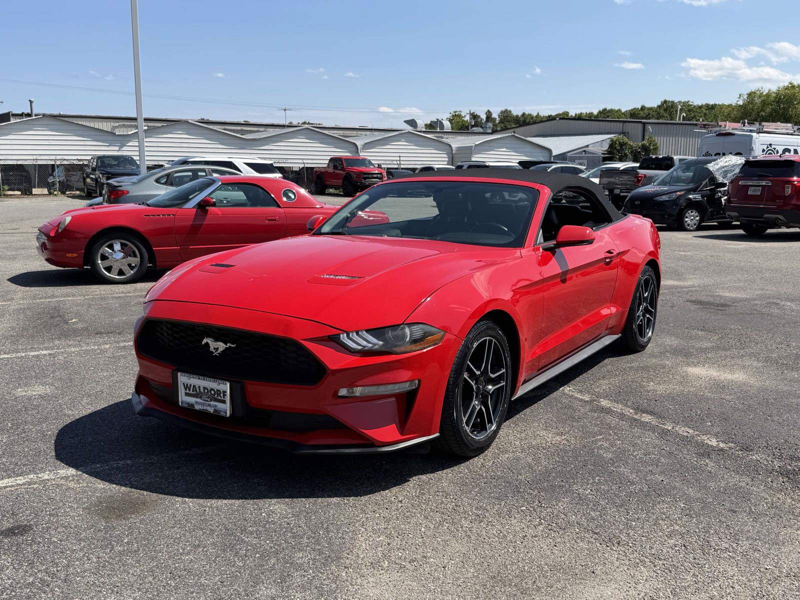 Certified 2020 Ford Mustang Premium RWD image 5
