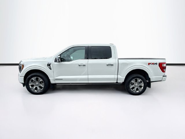 Certified 2023 Ford F150 Platinum w/ Equipment Group 701A High AWD/4WD image 6