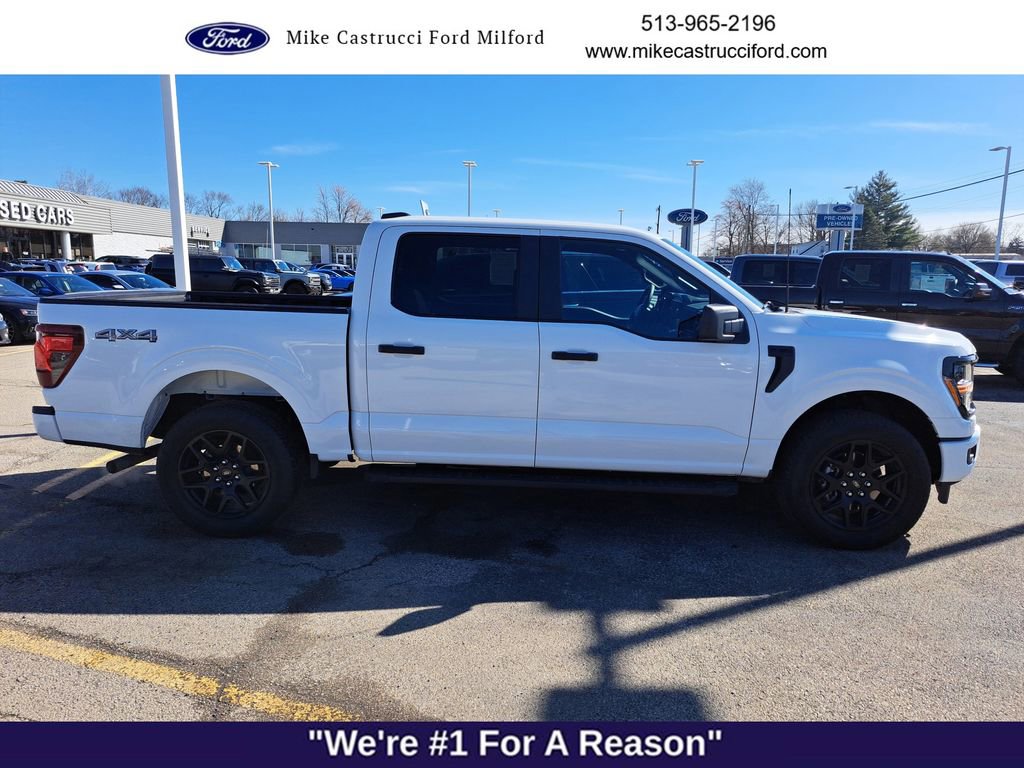 Certified 2025 Ford F150 STX w/ STX Black Appearance Package image 6