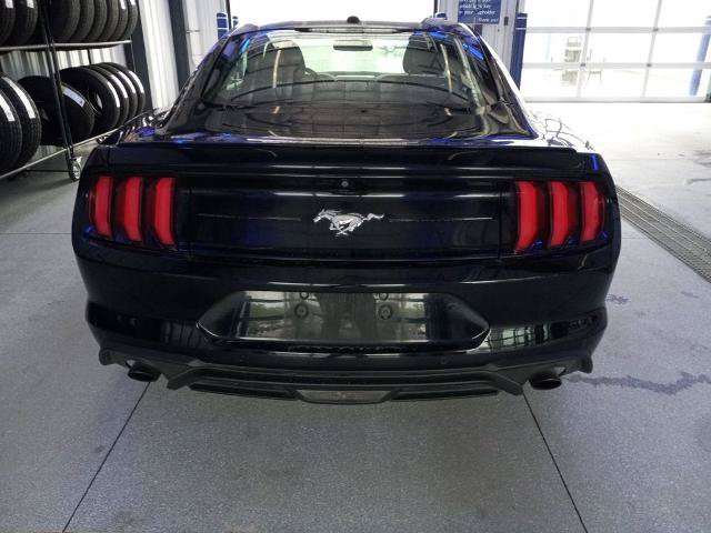 Certified 2019 Ford Mustang Coupe w/ Equipment Group 101A RWD image 28