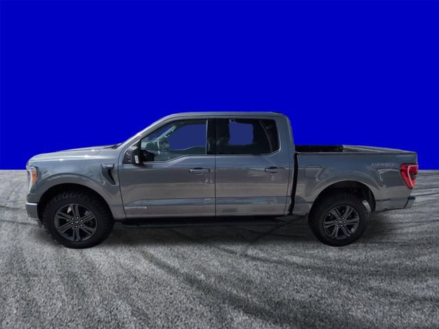 Certified 2023 Ford F150 XLT w/ Equipment Group 302A High AWD/4WD image 7