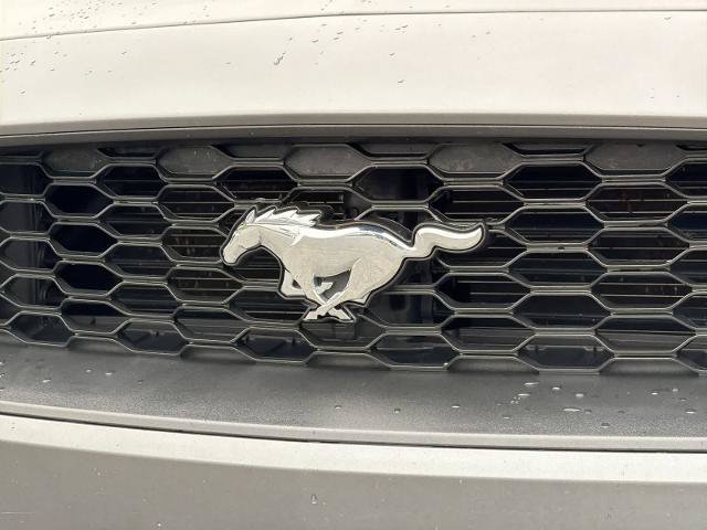 Certified 2021 Ford Mustang Premium RWD image 13