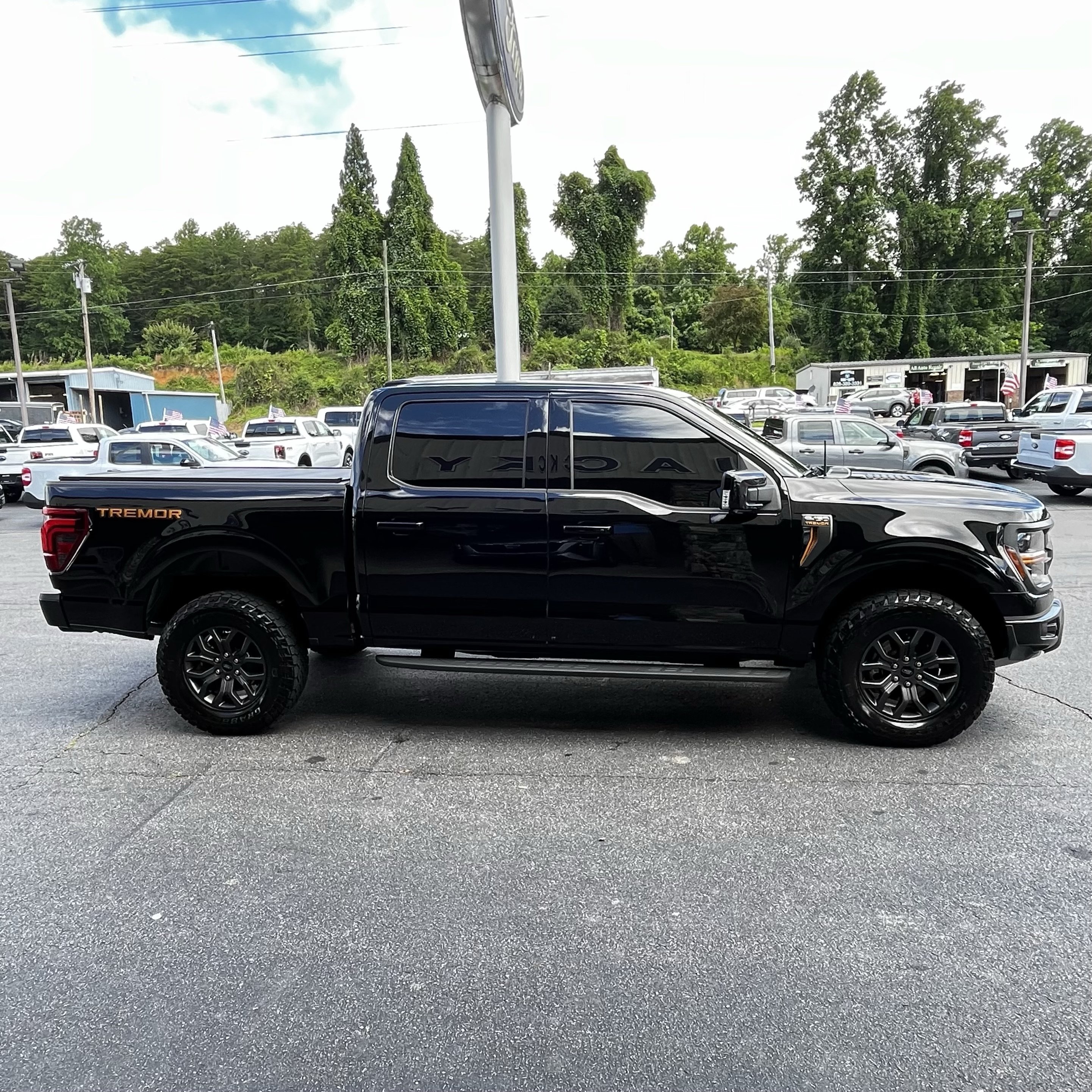 Certified 2025 Ford F150 Tremor w/ Equipment Group 402A High AWD/4WD image 5