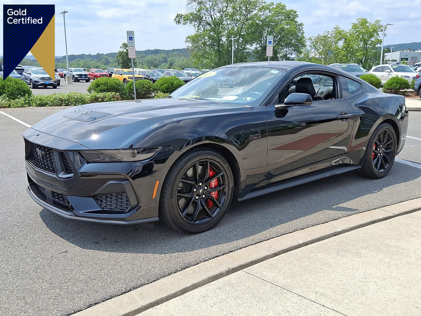 Certified 2024 Ford Mustang GT Premium w/ Mustang Nite Pony Package