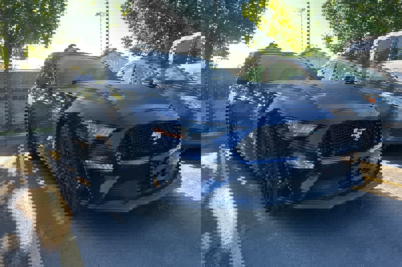 Certified 2020 Ford Mustang GT w/ Equipment Group 301A RWD image 3