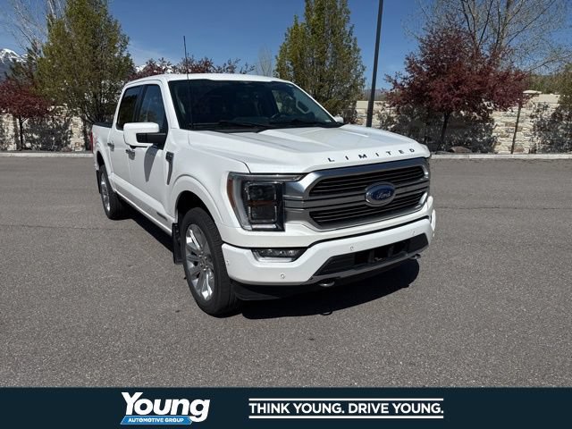 Certified 2023 Ford F150 Limited AWD/4WD image 14