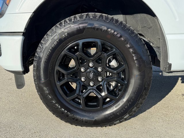 Certified 2025 Ford F150 STX image 14