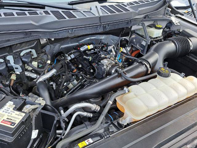 Certified 2022 Ford F150 XL w/ STX Appearance Package RWD image 15