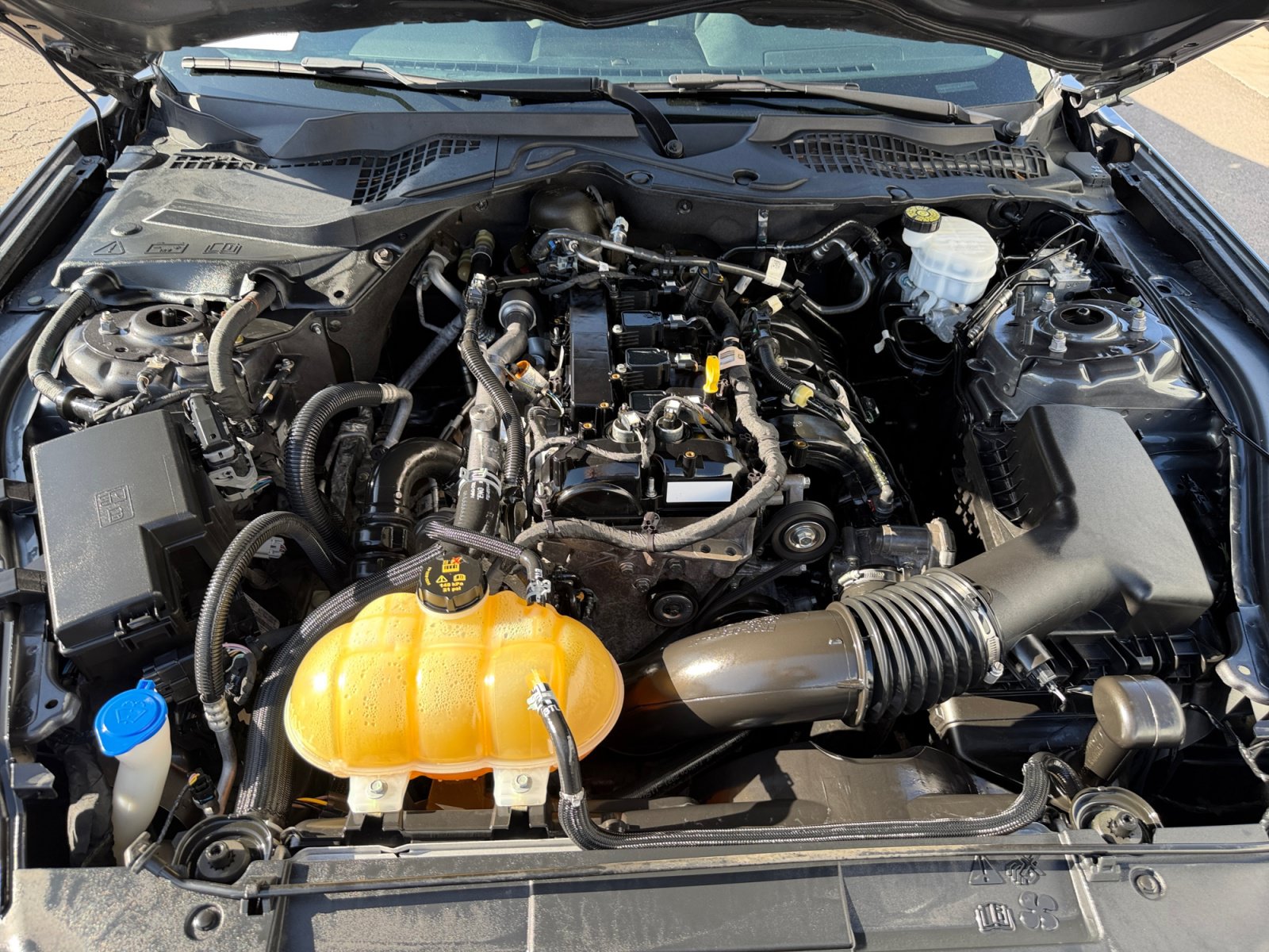 Certified 2021 Ford Mustang Coupe RWD image 32