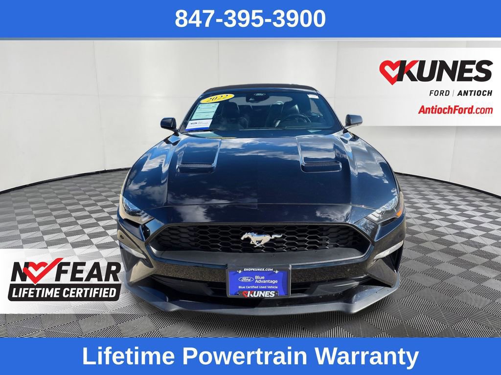 Certified 2022 Ford Mustang Premium image 16