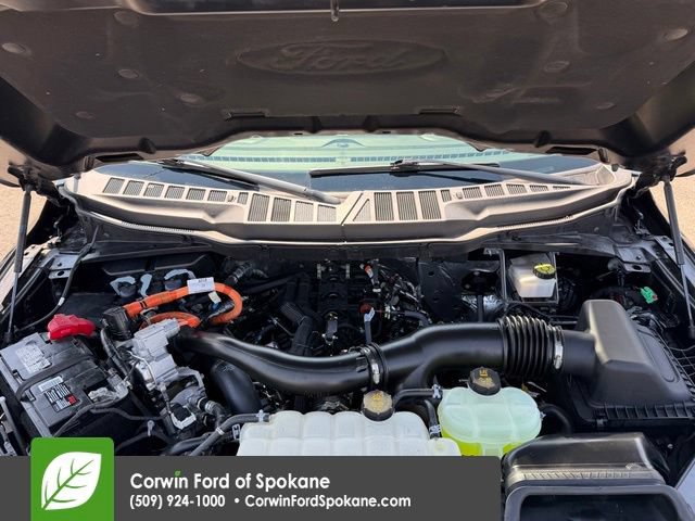 Certified 2024 Ford F150 XLT w/ Equipment Group 302A MID AWD/4WD image 37