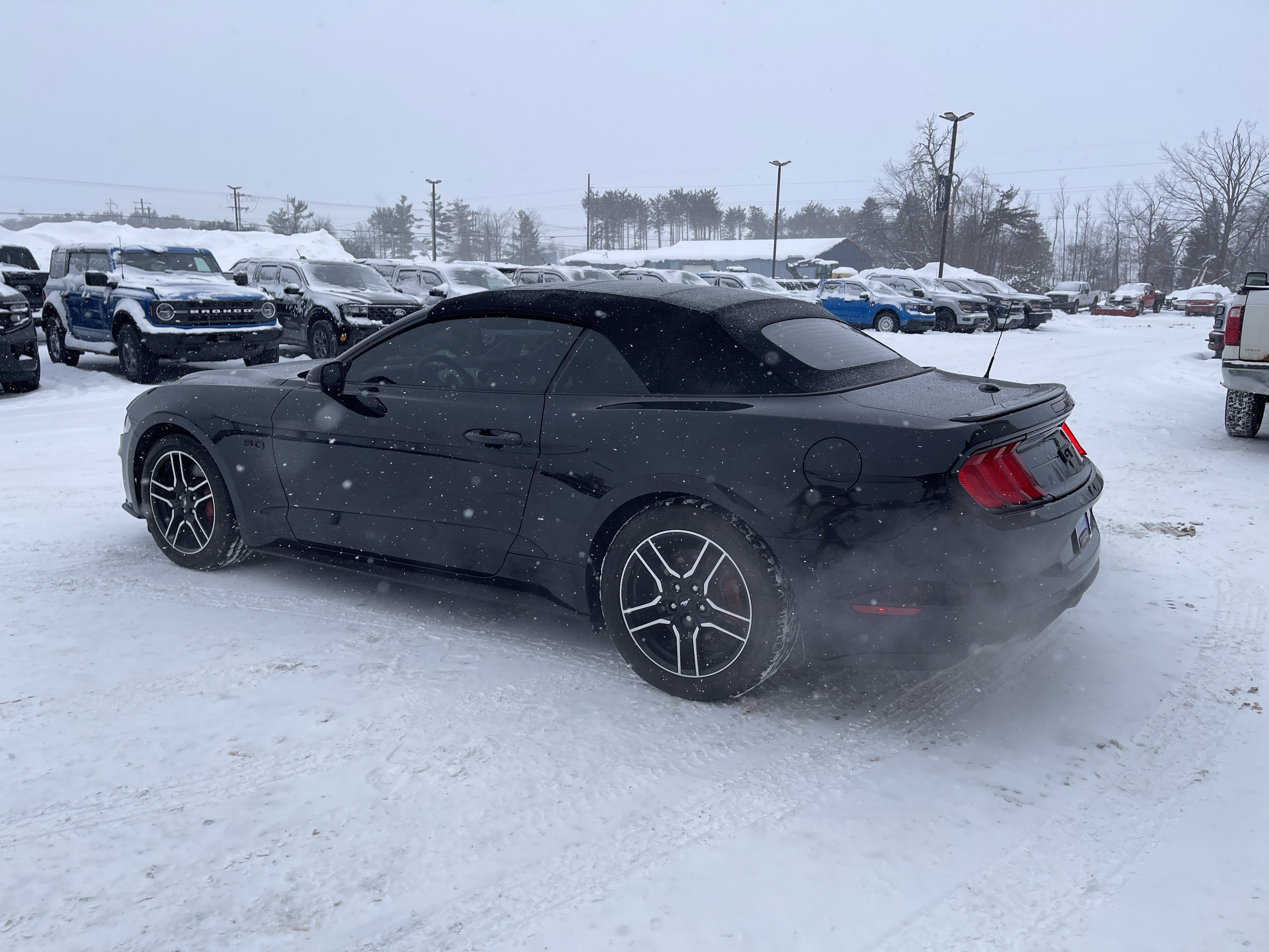 Certified 2020 Ford Mustang GT Premium image 6