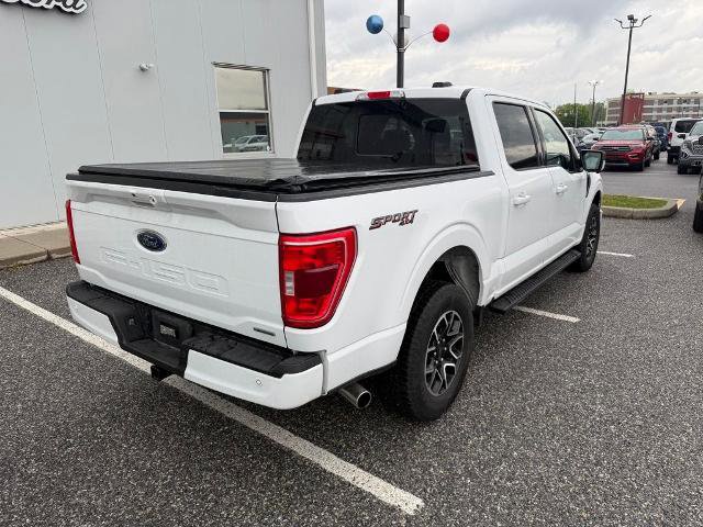 Certified 2023 Ford F150 XLT w/ Equipment Group 302A High AWD/4WD image 8