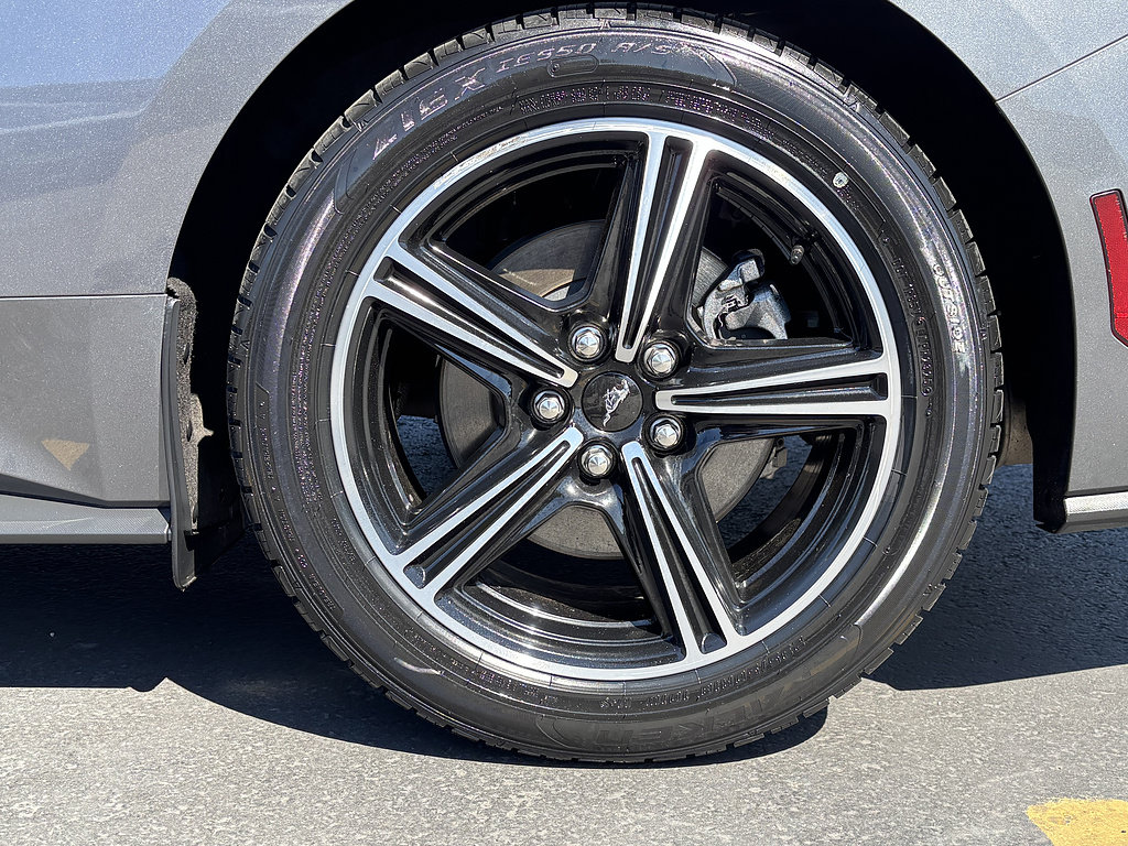 Certified 2024 Ford Mustang Coupe RWD image 12