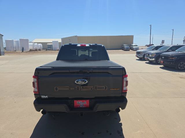 Certified 2022 Ford F150 Tremor w/ Equipment Group 402A High AWD/4WD image 13