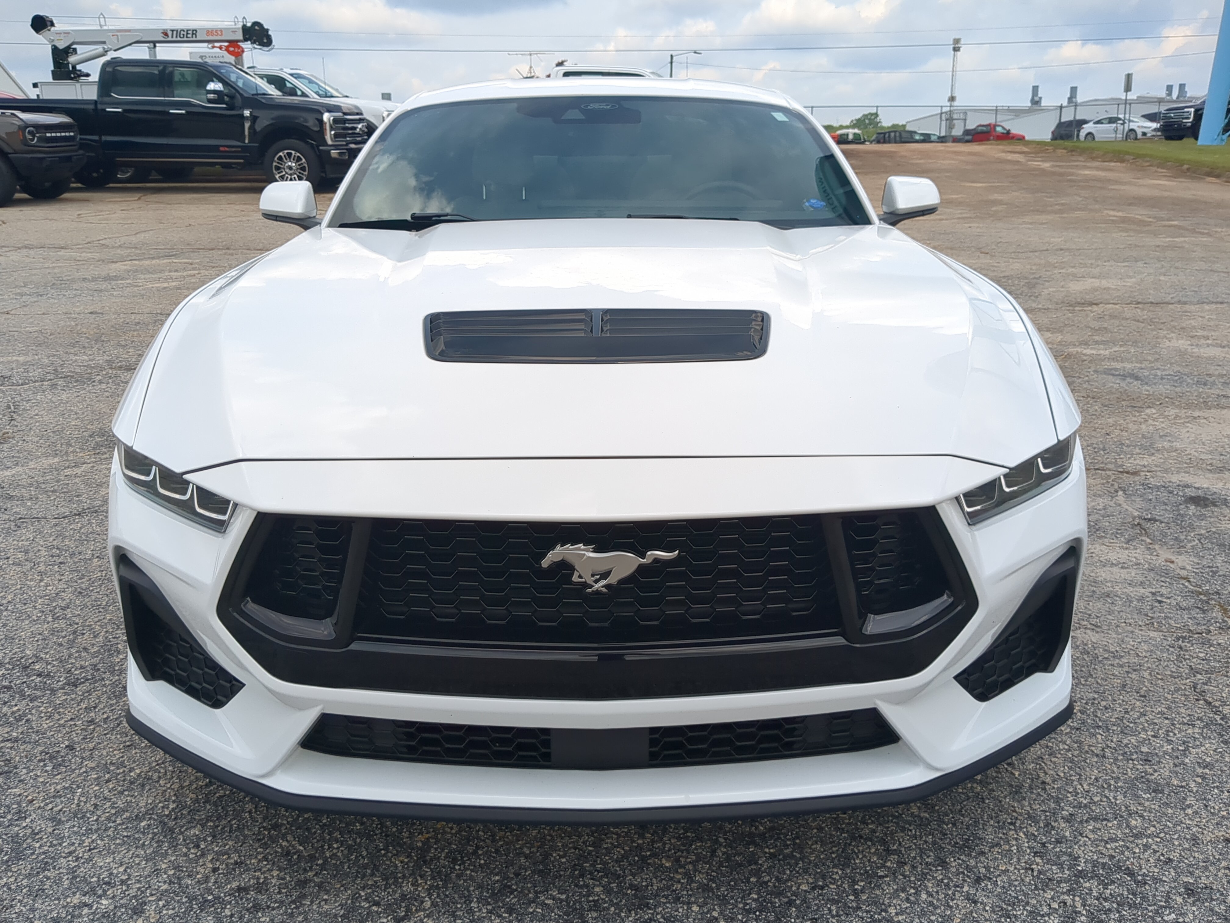 Certified 2024 Ford Mustang GT Premium RWD image 7