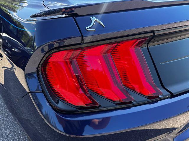 Certified 2019 Ford Mustang GT Premium w/ Enhanced Security Package RWD image 12