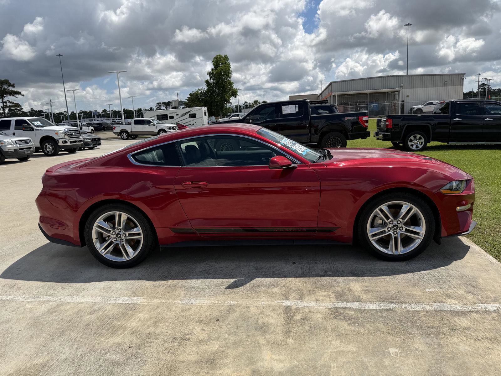 Certified 2021 Ford Mustang Premium w/ Equipment Group 201A RWD image 4