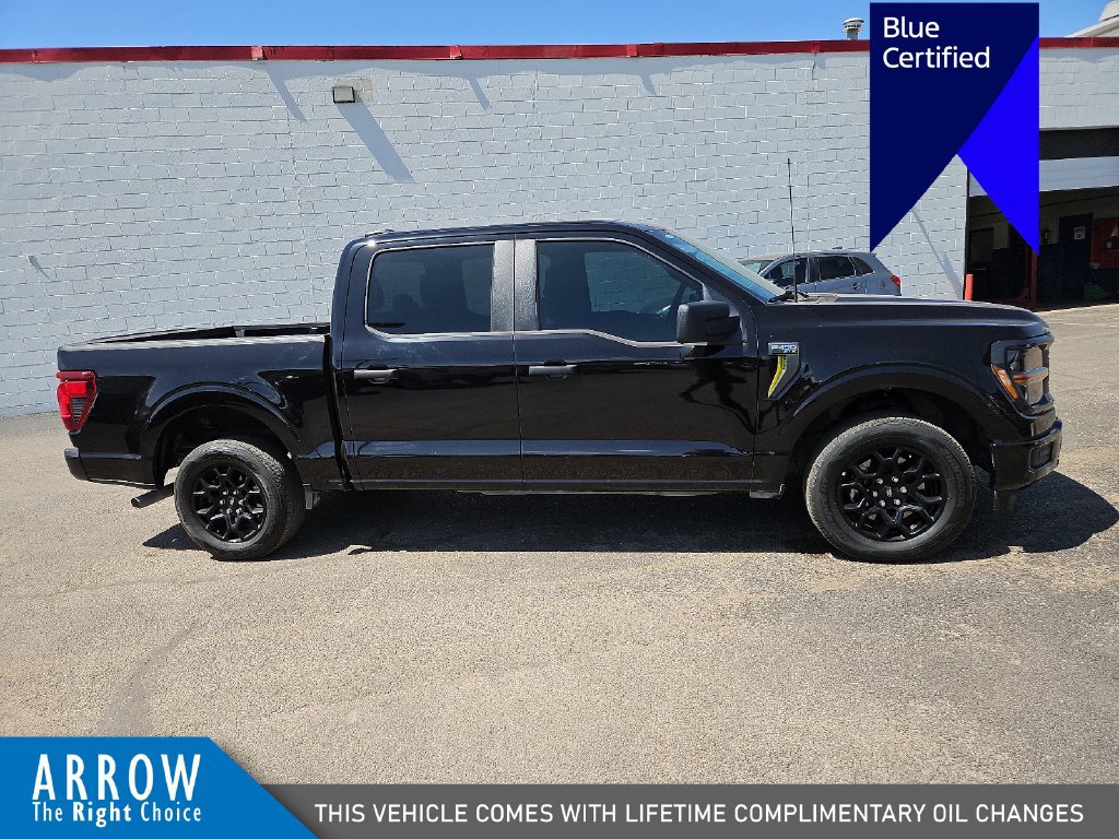 Certified 2025 Ford F150 STX RWD image 14