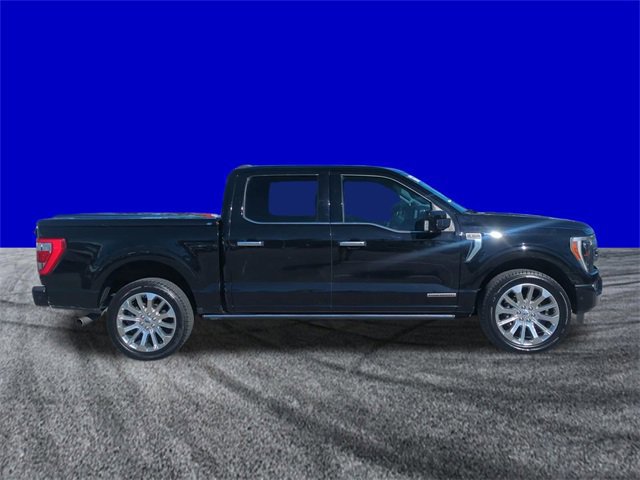 Certified 2023 Ford F150 Limited image 5