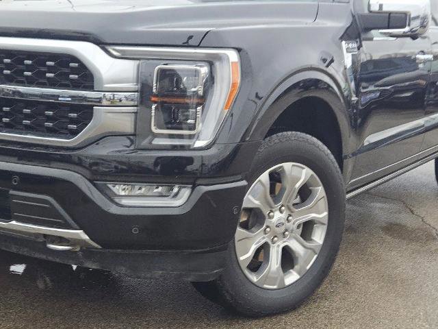 Certified 2023 Ford F150 Platinum w/ Equipment Group 701A High image 7