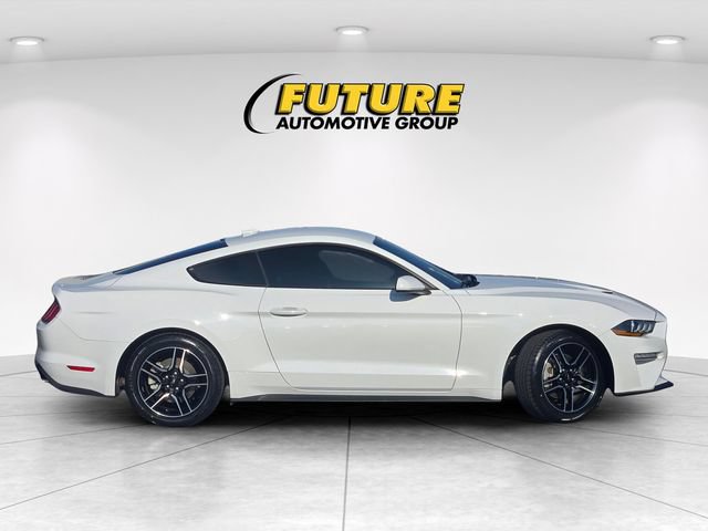 Certified 2023 Ford Mustang Coupe w/ Equipment Group 101A RWD image 3
