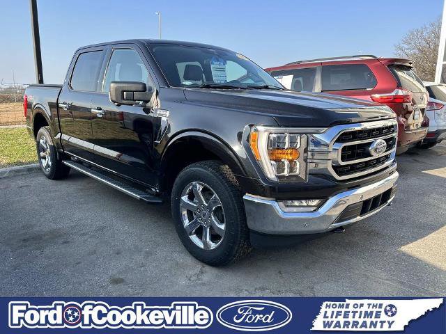 Certified 2022 Ford F150 XLT w/ Equipment Group 302A High image 2