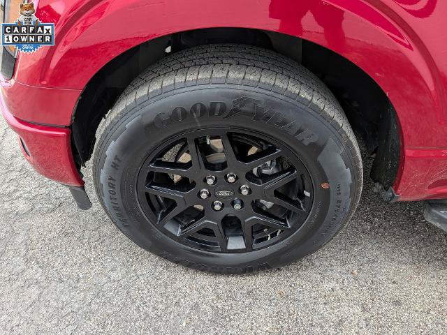 Certified 2024 Ford F150 STX w/ STX Black Appearance Package RWD image 39