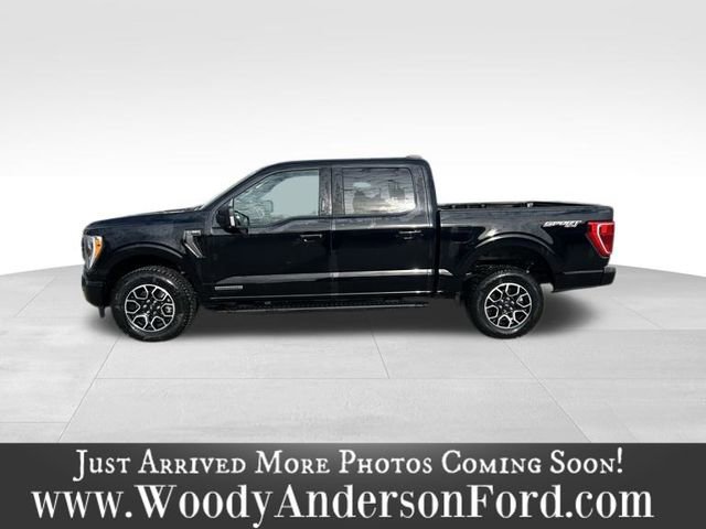 Certified 2023 Ford F150 XLT w/ Equipment Group 302A High image 3