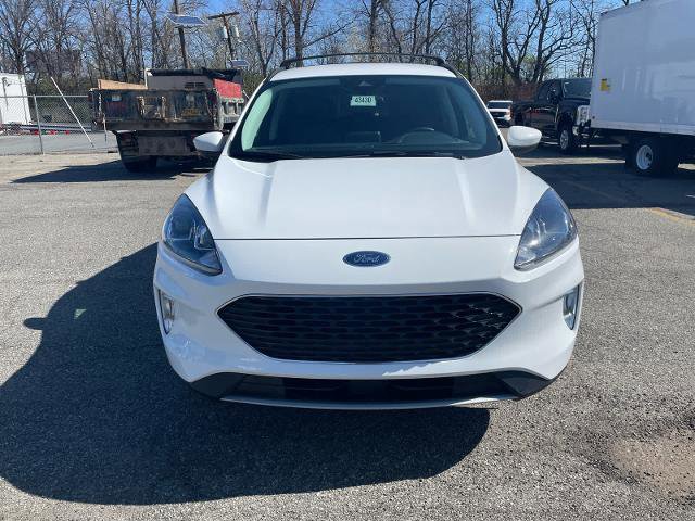 Certified 2022 Ford Escape SEL image 6