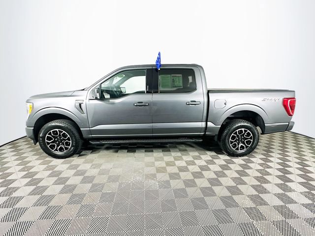 Certified 2023 Ford F150 XLT w/ Equipment Group 302A High AWD/4WD image 8