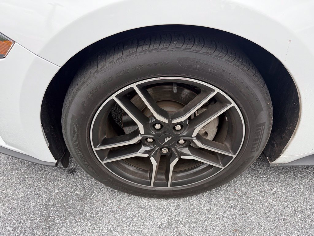 Certified 2019 Ford Mustang Premium w/ Equipment Group 201A RWD image 10