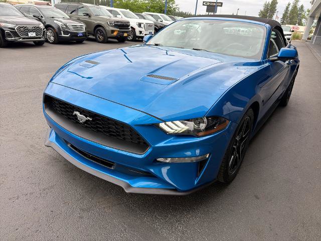 Certified 2019 Ford Mustang Premium RWD image 3