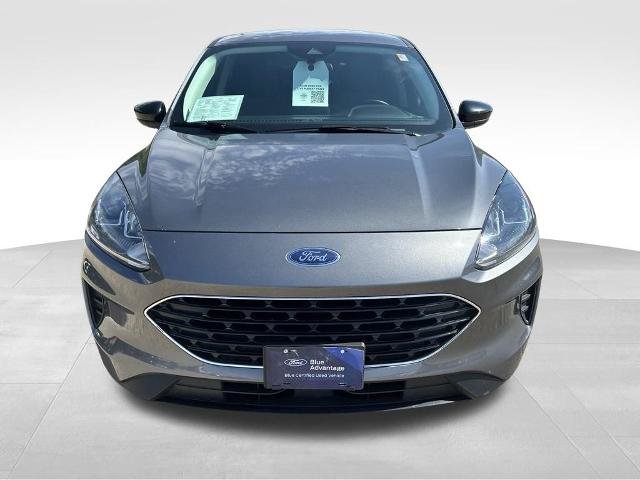 Certified 2022 Ford Escape SE w/ SE Sport Appearance Package FWD image 9