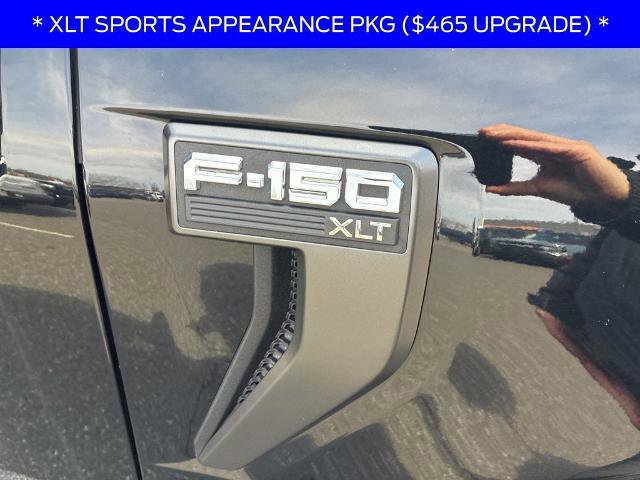 Certified 2023 Ford F150 XLT w/ Equipment Group 302A High image 7