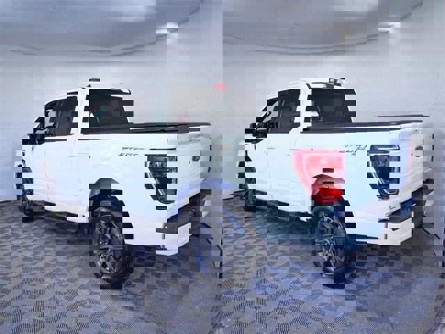 Certified 2023 Ford F150 XLT w/ Equipment Group 302A High image 2