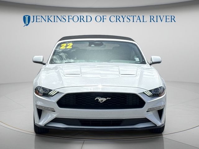 Certified 2022 Ford Mustang Premium RWD image 3