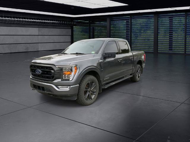 Certified 2023 Ford F150 XLT w/ Equipment Group 302A High AWD/4WD image 6