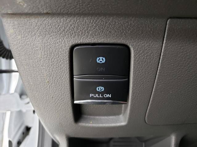 Certified 2025 Ford Transit 250 Low Roof w/ Exterior Upgrade Package RWD image 24