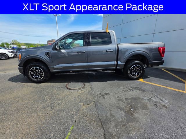Certified 2023 Ford F150 XLT w/ Equipment Group 302A High AWD/4WD image 4