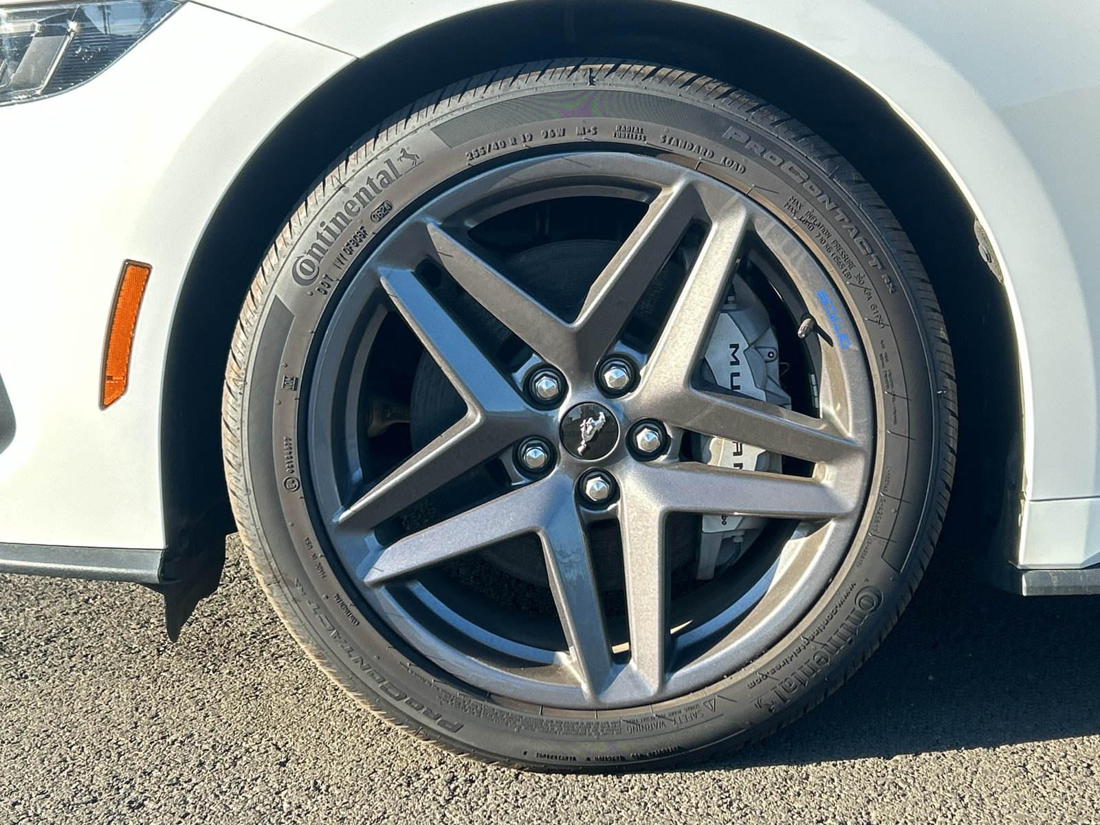 Certified 2024 Ford Mustang GT Premium w/ California Special Package RWD image 12