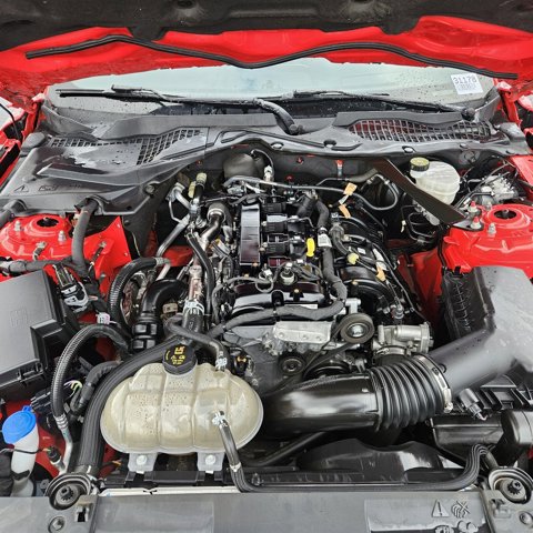 Certified 2023 Ford Mustang Premium image 12