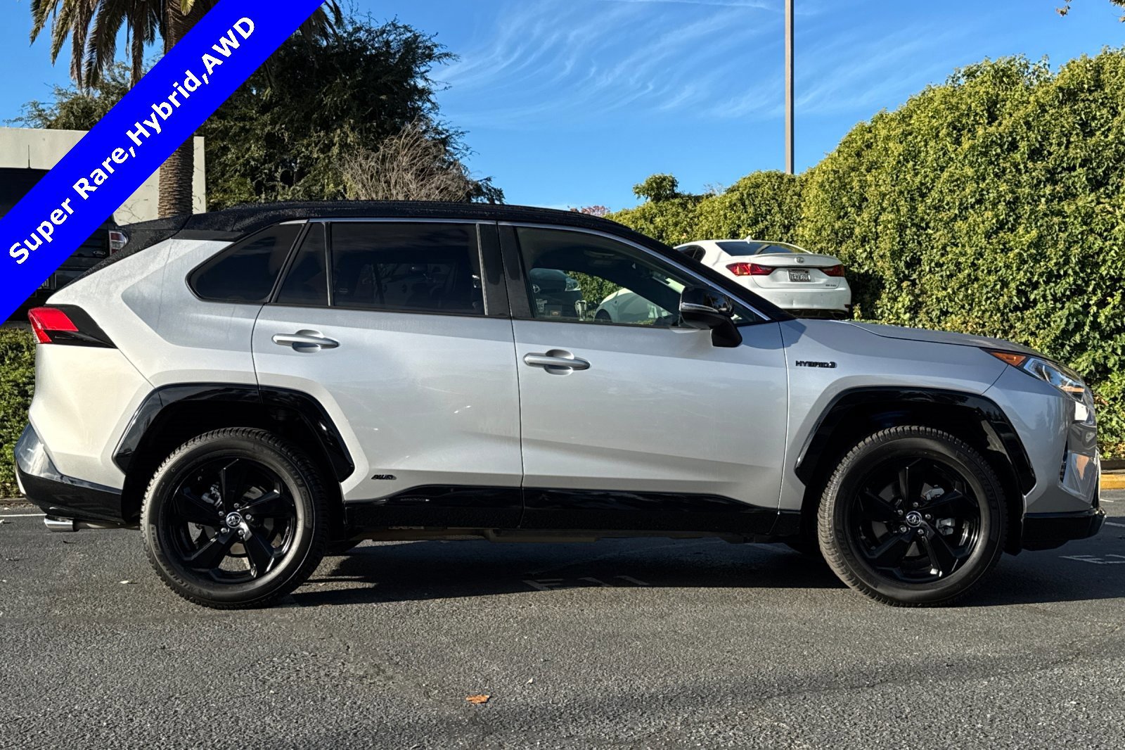 Used 2019 Toyota RAV4 XSE w/ XSE Weather Package image 6